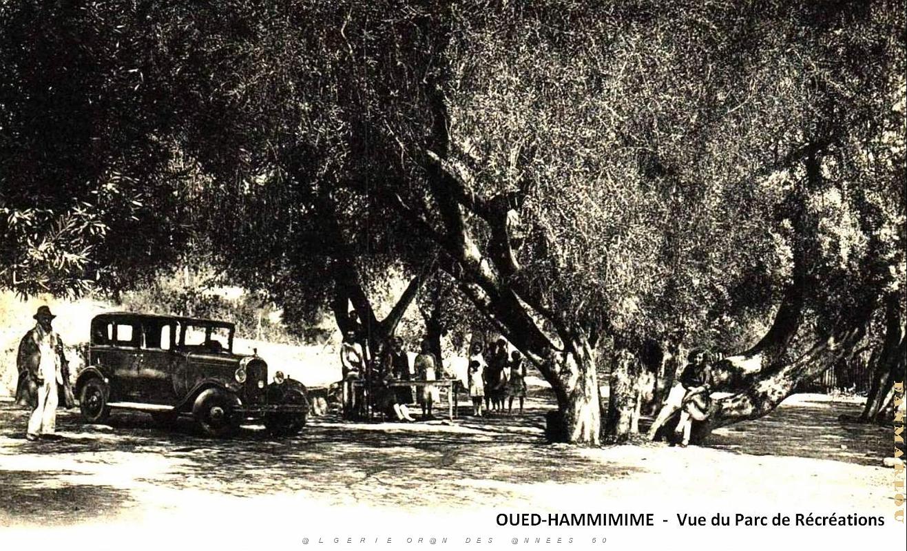 Oued-Hammimime - Vue du Parc de recreations.jpg